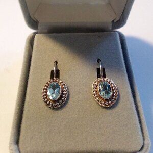 Pair of Sterling Blue Tourmaline  Earrings